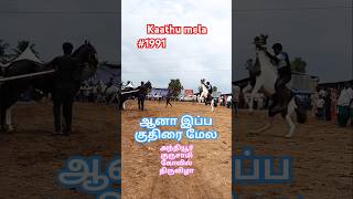 ✨💥'Kaathu mela'🫣ஆனா இப்போ🥹குதிரை🤓மேல'💥✨#trendingyoutubeshortsfeed#yshorts🔥#trending#shortsfeed#viral