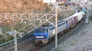 2016/02/11 JR貨物 朝6時台の貨物列車4本と普電 東海道本線