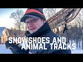 Snowshoes and Animal Tracks