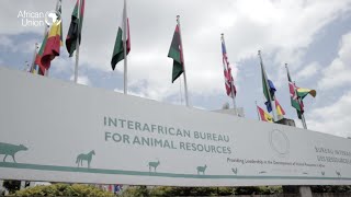 The African Union Inter-African Bureau for Animal Resources (AU-IBAR) (English Version)