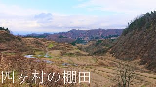 四ヶ村の棚田を歩くだけ。【山形】：Walking on Shikamura rice terraces（yamagata, japan）