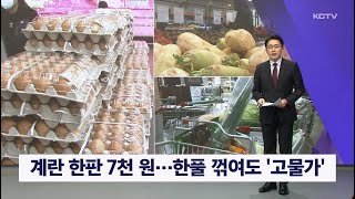 계란 한판 7,000원...한풀 꺾여도 '고물가'