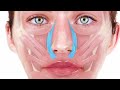 Facial Muscle Anatomy. Learn facial muscle anatomy in 10 minutes
