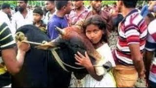 Human love for animal || পশুর প্রতি মানুষের ভালোবাসা #youtube #viral #viralvideo