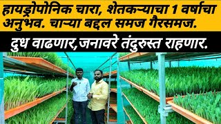 हायड्रोपोनिक चारा, शेतकऱ्याचा 1 वर्षाचा अनुभव:Hydroponics fodder: