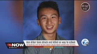 Ann Arbor teen struck and killed on way to school.