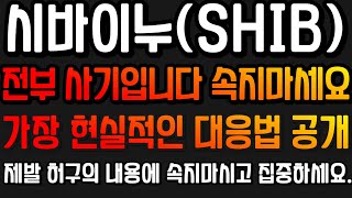 시바이누 / SHIB - 시바이누코인 전부 사기입니다. 속지마세요. 시바이누 가장 현실적인 대응법 공개!!