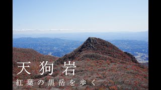 【天狗岩】【黒岳】紅葉の原生林を歩く｜Hiking through Mt. Kurodake dressed in autumn colors