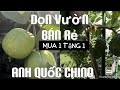 Anh Quốc Ở Chino Tiếp Tục Dọn Vườn Bán Rẻ tt797