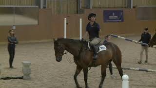 Harry Meade and Laura Collett Masterclass at World Horse Welfare | Part 2 with Q and A