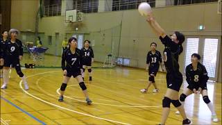 2019年度　岐阜県ママさんバレーボール秋季大会　東農予選会　写真集