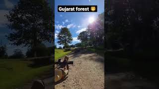 💚|| GUJARAT FOREST DREAM ||💚 #forest #forest #environment #motivation #wildlife #vairal #forestguar