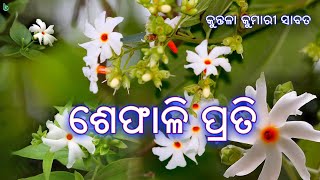 ଶେଫାଳି ପ୍ରତି | shefali prati | kuntala kumari sabat | odia sahitya | odia poem #shrutisahitya