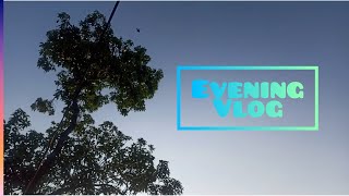 ഒരു തട്ടിൽ കൂട്ട് Evening Vlog🙏||malayalam vlogs||youtube||trending