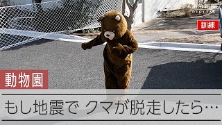 ツキノワグマが脱出したら・・・？