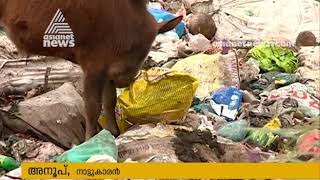 Vandiperiyar panchayat dumping Plastic wastes in Pullumedu Sathram