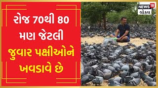 Birds Lover | આને કહેવાય પક્ષીપ્રેમ! લગ્નના ચાંદલામાં આવેલા પૈસા પક્ષીઓના ચણ માટે વાપર્યા | #Local18