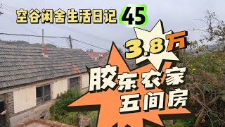 空谷闲舍生活日记45：3.8万人民币买一套胶东农家小院贵不贵？胶东农家｜山东乳山农民房｜农家院｜农村旧房｜乡村闲置空置房