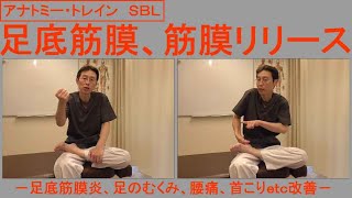 アナトミー・トレイン　ＳＢＬ　足底筋膜、筋膜リリース　－足底筋膜炎、足のむくみ、腰痛、首こりｅｔｃ改善－