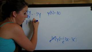 Differential Equations Example 5 (KristaKingMath)