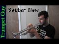 Post Malone - Better Now (Trumpet Cover)