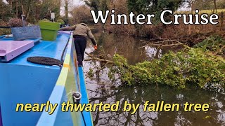 Winter cruise almost thwarted by fallen tree