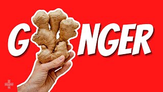 10 Mind Blowing Benefits of GINGER You Never Knew