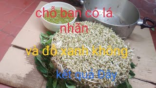(cách làm).( giá đỗ). bằng lá nhãn)1, [ít tưới nước.]✓