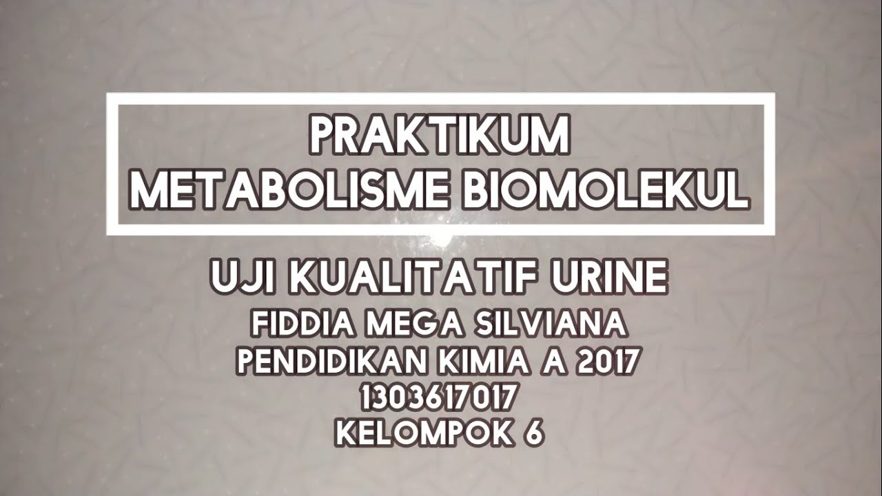 UJI PROTEIN PADA URINE #DiRumahAja - YouTube