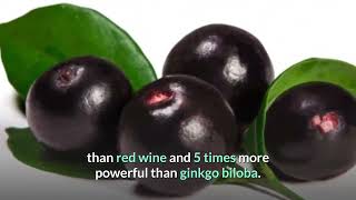 THE No. 1 SUPERFOOD  The Most Powerful Antioxidant