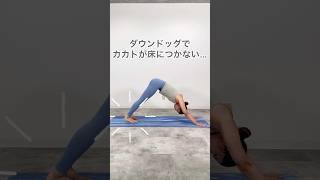 ダウンドッグでカカトが床につかない…３つのポイントを見直してみて！#shorts #ヨガ #ストレッチ #ショート動画