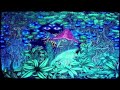 space byrd psynopticz rec promo set jungala festival 2017 psychedelic tra