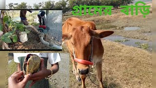 গ্রামের বাড়িতে আসলাম।Hossain mizi agro