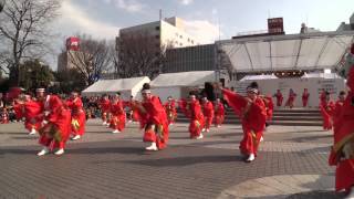 土佐のおきゃく2014　中央公園　旭食品　その1