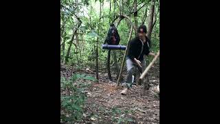 Solo wilderness camping and building a shelter #shorts