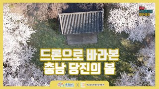 드론으로 바라본 충남 당진의 봄 - 21년 충남 크리에이터 아카데미 #14