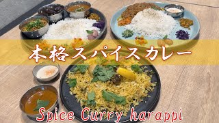 【札幌】Spice Curry harappi　　～本格スパイスカレーのお店～