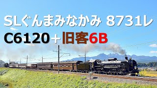 久々の旧客6B … SLぐんまみなかみ 20201025