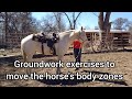 Groundwork Lesson - Moving the horse's body zones