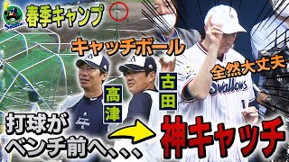 【高津\u0026古田とキャッチボール】村上宗隆を視察中にホーバスが神キャッチ  ヤクルト春季キャンプ