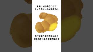 冷え性対策に効果的な食材の雑学