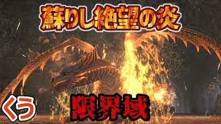 【DDON】ウォーミッション「限界域」に行ってきました【蘇りし絶望の炎】