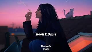 Rooh E Daari (Slowed+Reverb) Altamash Faridi | Rohit Kumar | Nextaudio Music
