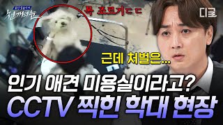 [#천개의눈] 강아지 목 조르는 미용실 원장? CCTV로 드러난 인기 애견 미용샵의 끔찍한 실체🤬