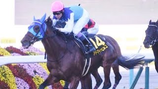 カシオペアステークス(L)　芝右 外1800m アドマイヤビルゴ　牡5　57　武豊2022.10.30　　出走馬：プログノーシス、ワールドバローズ、エアファンディタ、ヴィクティファルス他