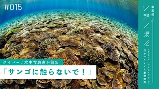 【深刻事態】沖縄の海洋生態系が危険に晒される｜サンゴの白化が深刻化中