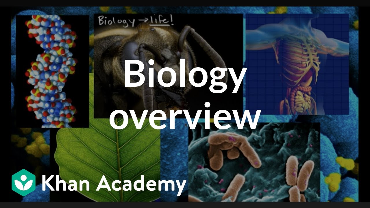 Khan Academy Biology Class 12 - Lavelle Morse