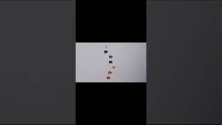 Turtle Race Using Python 🐢🏁🐍 #python #pythonprogramming #pythonprojects #programming #dsa #develop