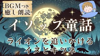 【イソップ童話】BGM付き 癒やしの朗読「ライオンを追いかけるイヌとキツネ」