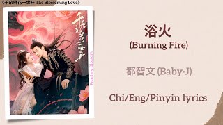 浴火 (Burning Fire) - 都智文 (Baby·J)《千朵桃花一世开 The Blossoming Love》Chi/Eng/Pinyin lyrics